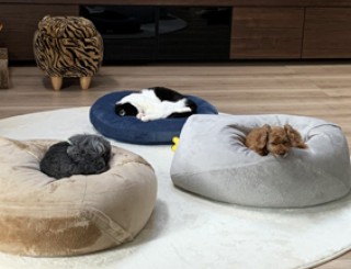 住宅:設計コンセプト